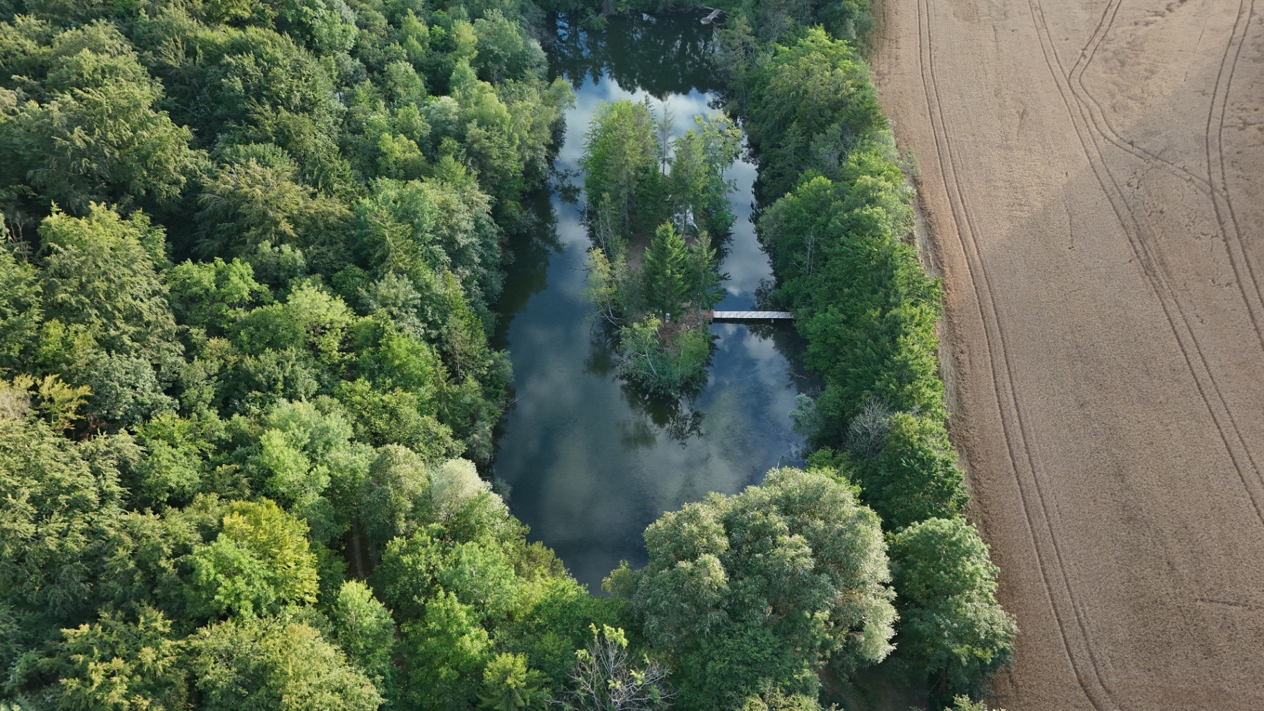 Bassin naturel